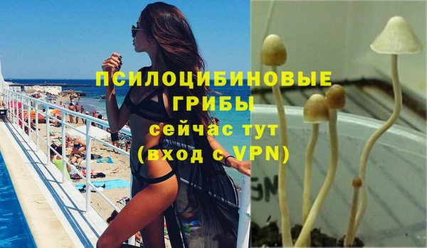 сатива Белокуриха