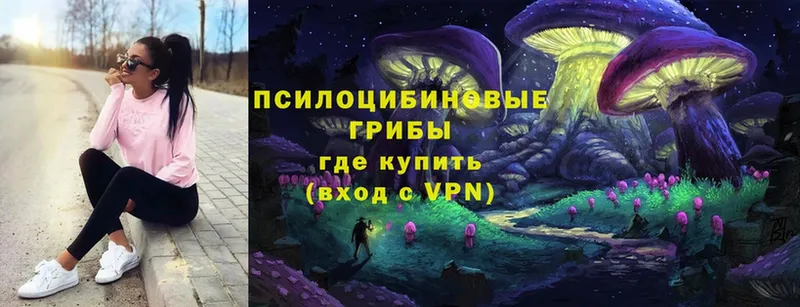 Галлюциногенные грибы Cubensis  Вихоревка 